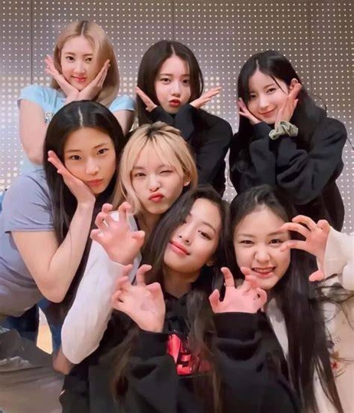 تحميل تطبيق موقع بدناش bdnaash com اخر اصدار مجانا 2023 مدونه ارباح نت