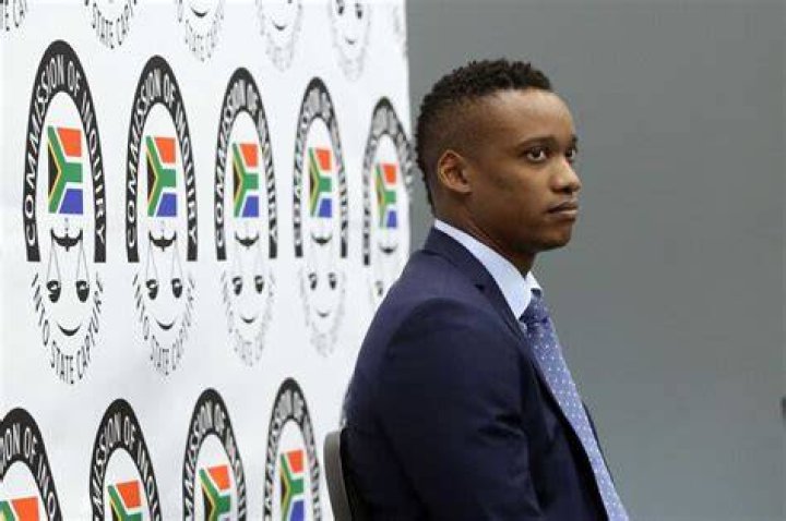 Duduzane Zuma lied to Zondo commission Thuli Madonsela News24