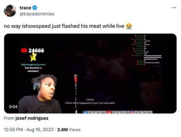 IShowSpeed Penis Flash Accident / IShowMeat Video Gallery Know Your Meme