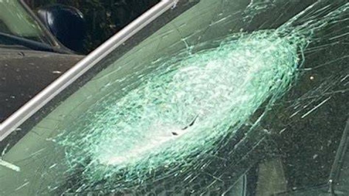 Randy Budd's Unforgettable Encounter: The Rock Through The Windshield