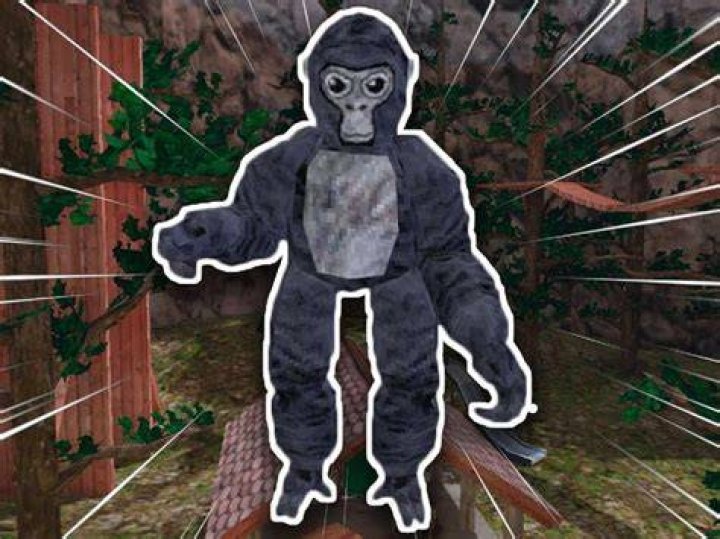 The Best Gorilla Tag KnockOffs!!! YouTube