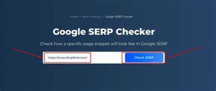 Track Your Success: Check Your SERP Position With Google's Cutting-Edge Tool