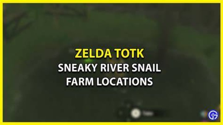 Where to Farm Sneaky River Snails in Zelda Tears of the Kingdom (TOTK) Attack of the Fanboy